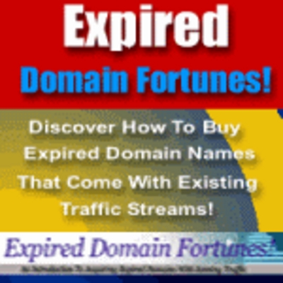Product picture Expired Domain Fortunes! An Introduction